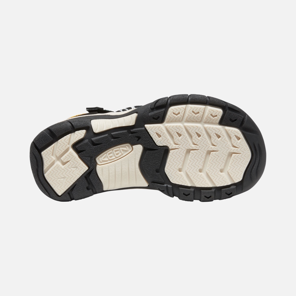 Atms Zebra Star Begeistert Newport H2 Für Große Kinder