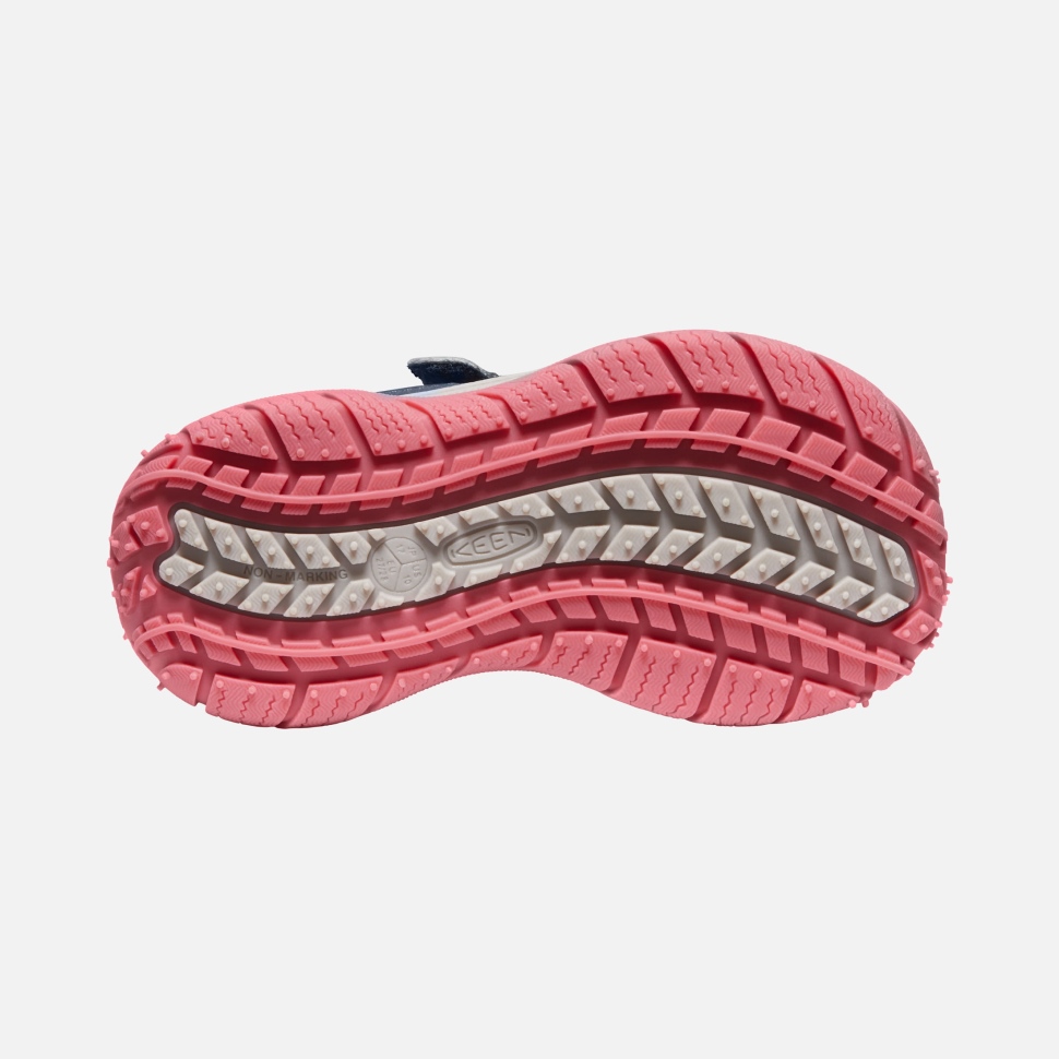 Blue Wing Teal-fruit Dove Speedhound Für Kleine Kinder Scharf