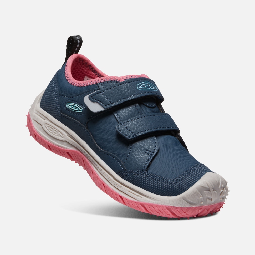 Blue Wing Teal-fruit Dove Speedhound Für Kleine Kinder Scharf