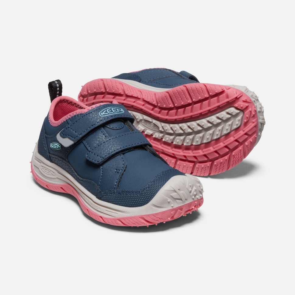 Blue Wing Teal-fruit Dove Speedhound Für Kleine Kinder Scharf