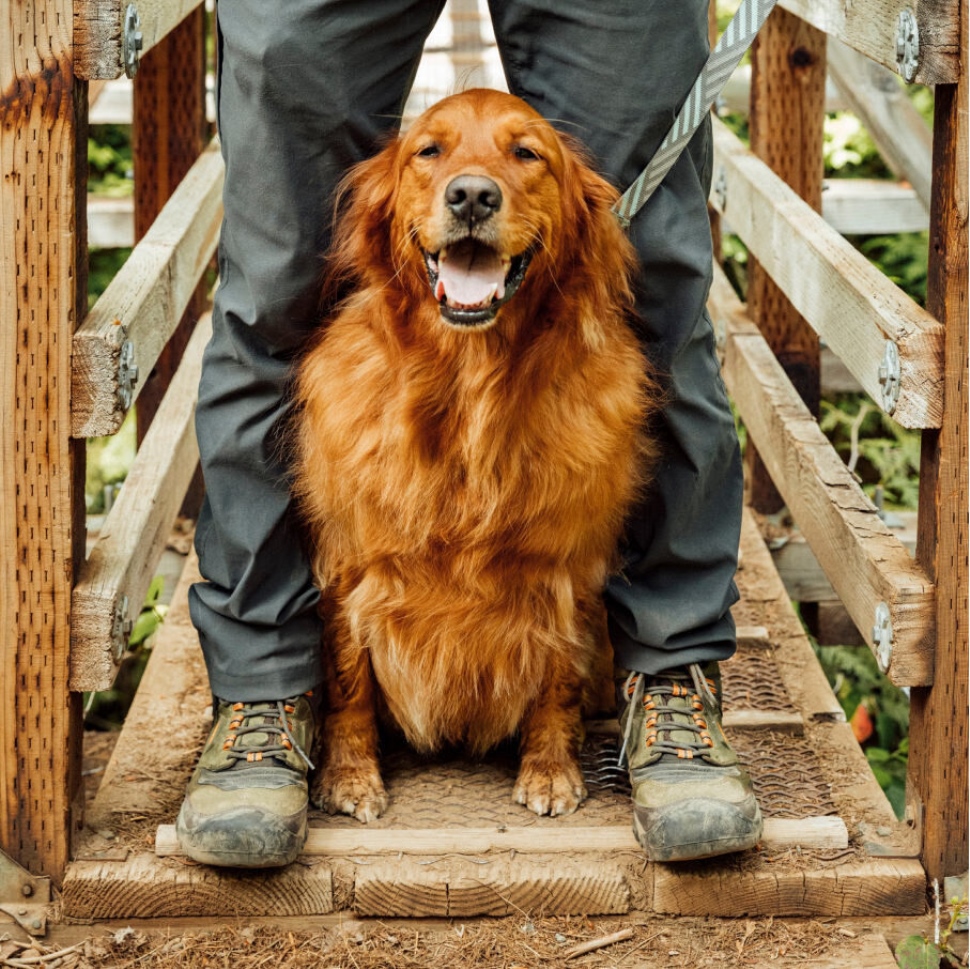 Keen Magnet-schwarzer Ridge Flex Wasserdichter Herrenstiefel