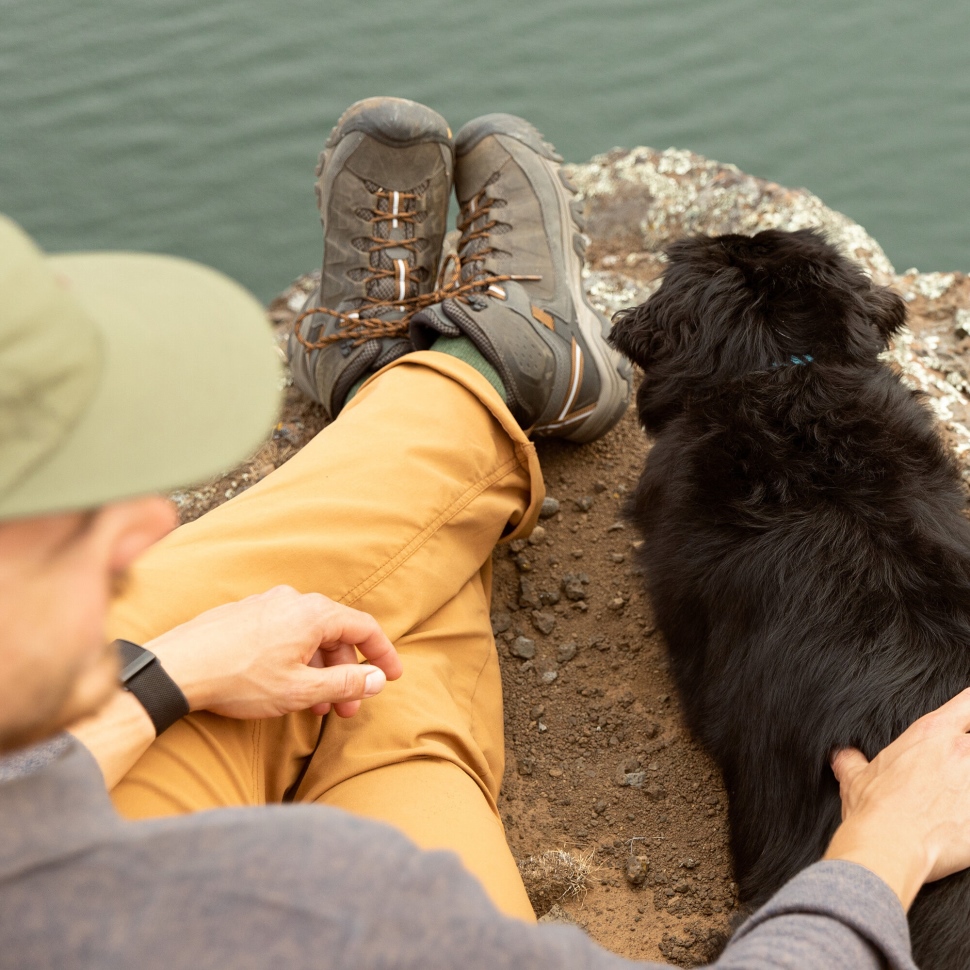 Keen Targhee II Waterproof Mid Herren Schwarz Oliv-Goldbraun