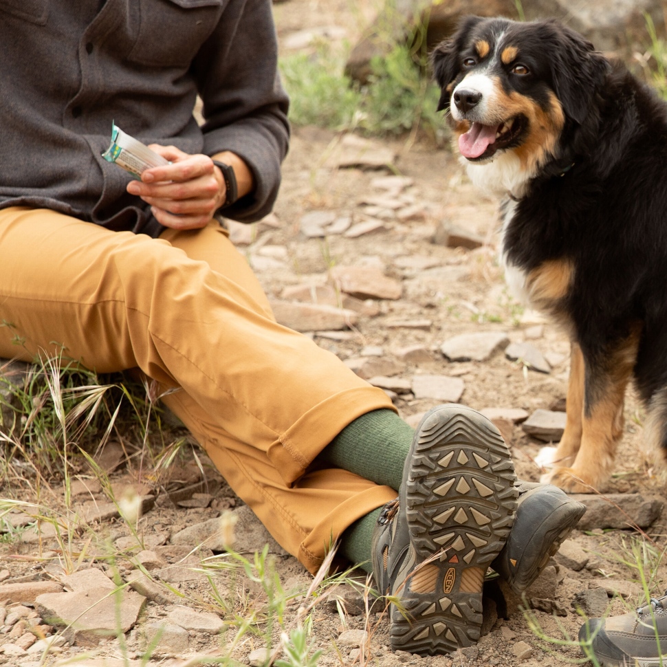 Keen Targhee II Waterproof Mid Herren Schwarz Oliv-Goldbraun