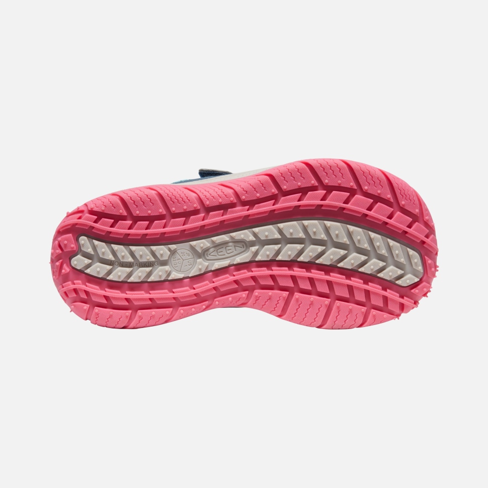 Blue Wing Teal-fruit Dove Begeisterter Speedhound Für Große Kinder