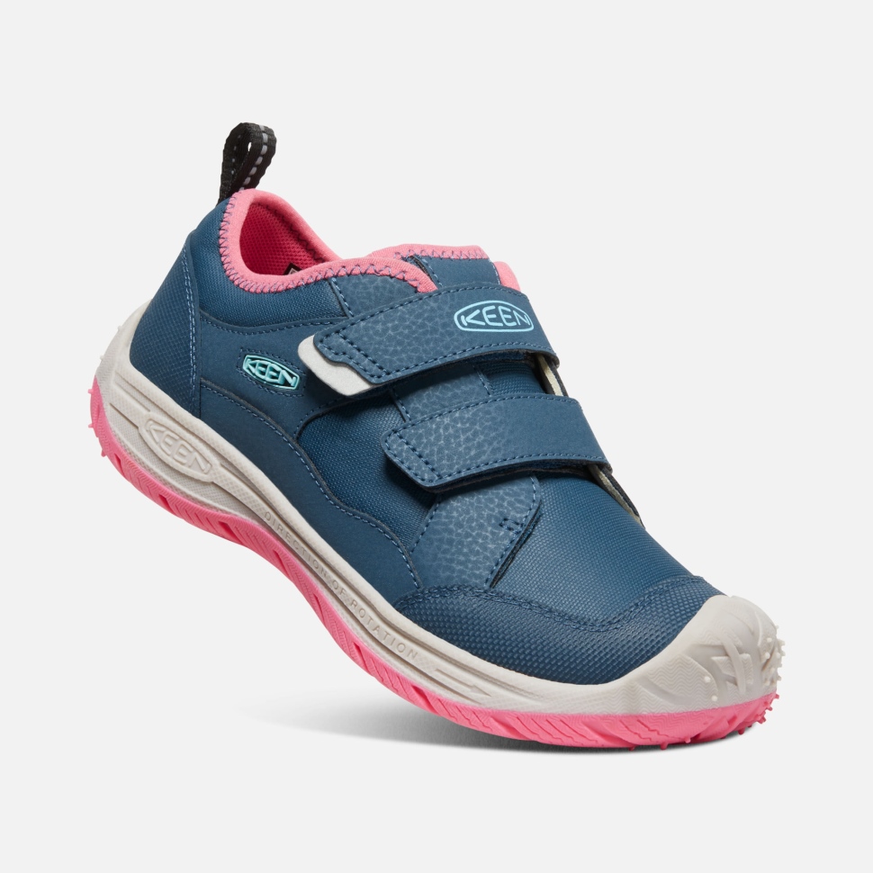 Blue Wing Teal-fruit Dove Begeisterter Speedhound Für Große Kinder