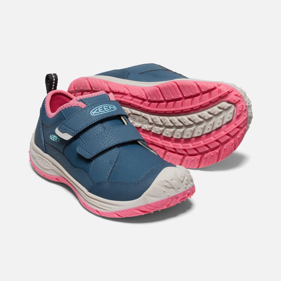 Blue Wing Teal-fruit Dove Begeisterter Speedhound Für Große Kinder