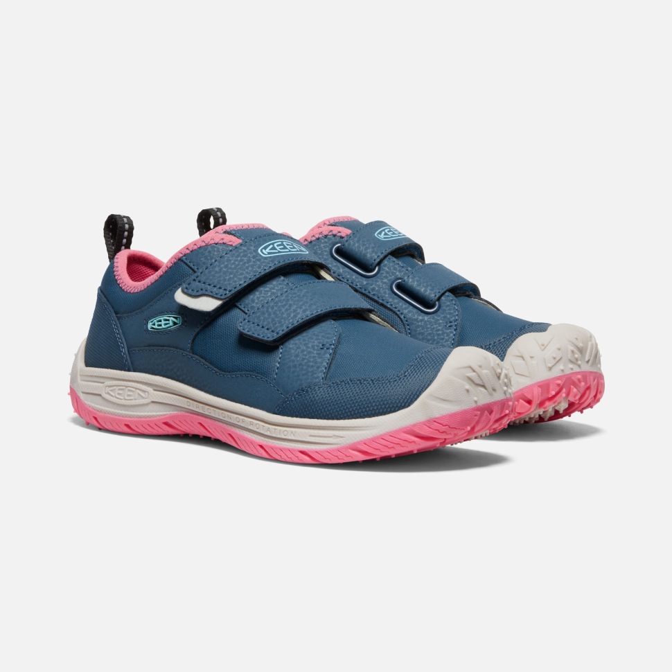 Blue Wing Teal-fruit Dove Begeisterter Speedhound Für Große Kinder