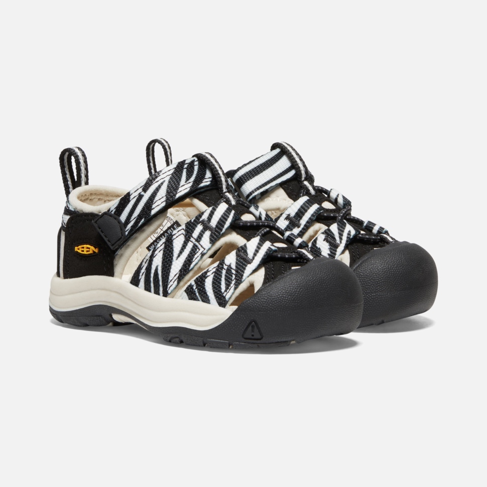 Atms Zebra Star Begeistert Kleinkinder Newport H2