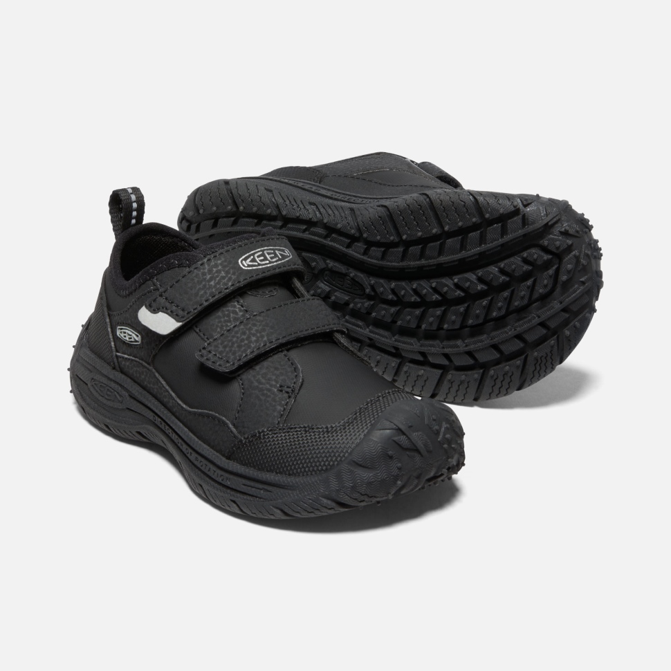 Schwarz-silber Kleiner Kinder Speedhound Keen