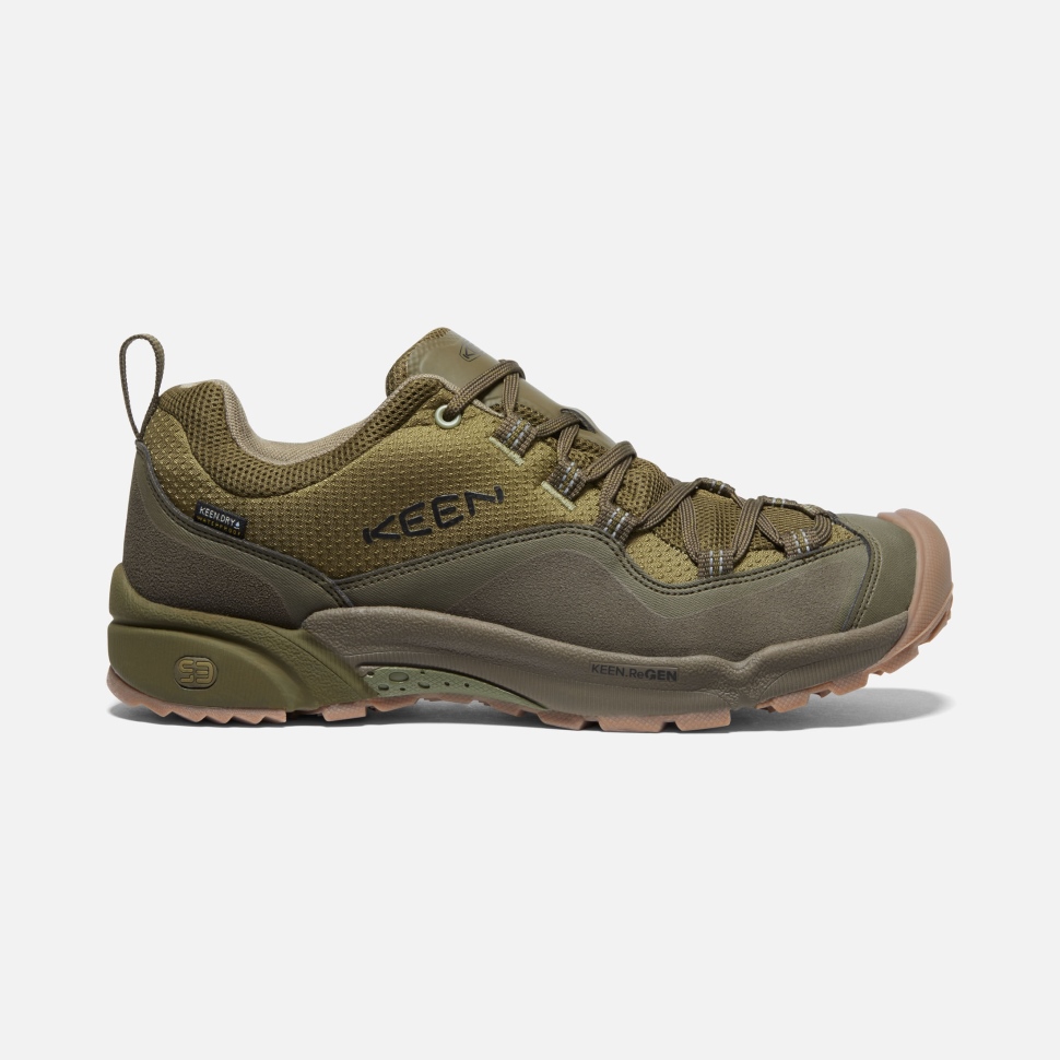 Olive Drab-dunkle Olive Herren Wasatch Crest Wasserdicht Keen