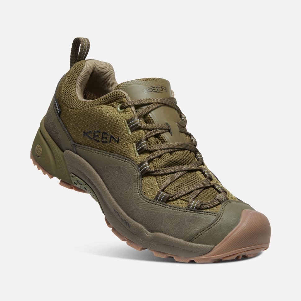 Olive Drab-dunkle Olive Herren Wasatch Crest Wasserdicht Keen