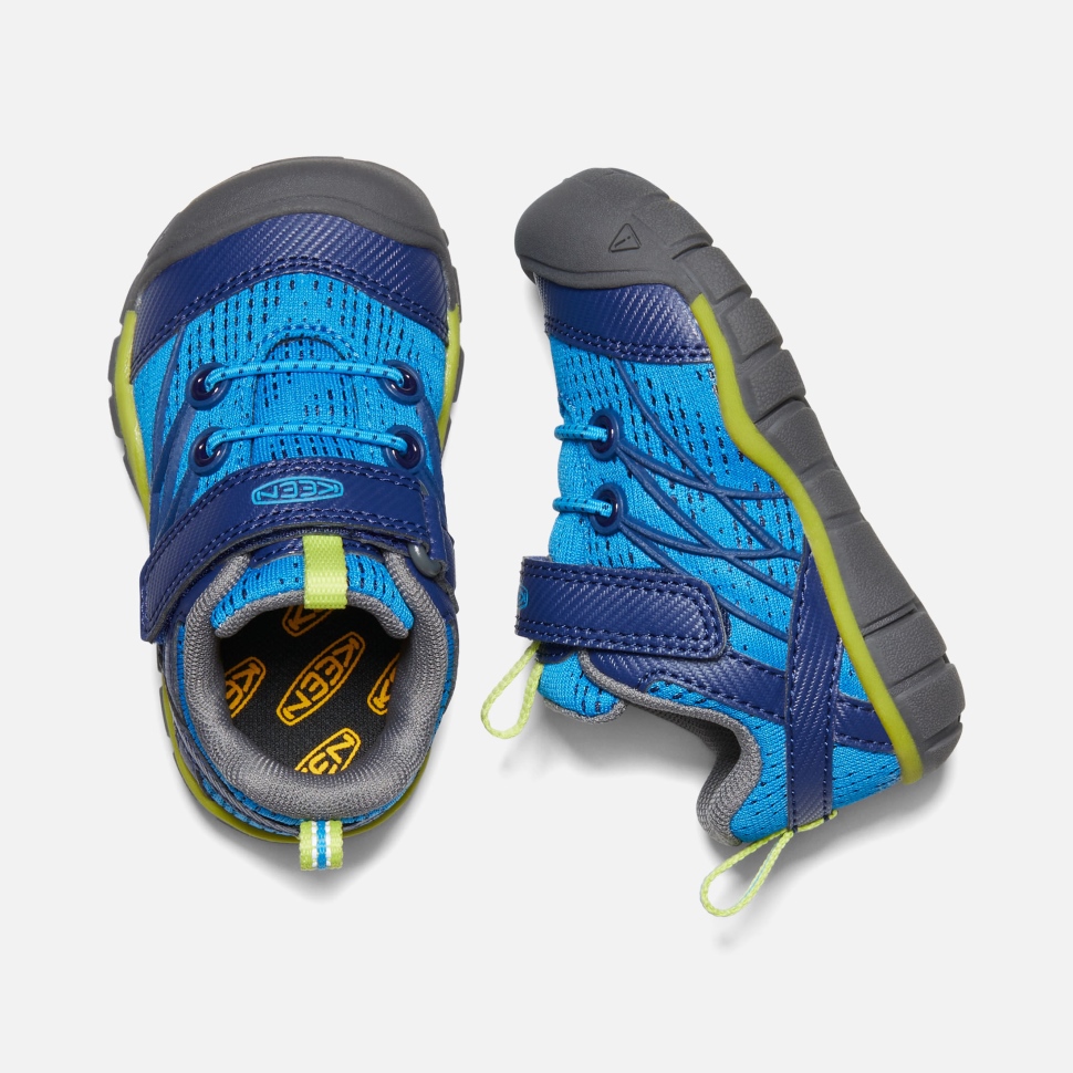 Brillante Blau-blaue Tiefe Keen Chandler Cnx Für Kleinkinder