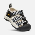 Atms Zebra Star Begeistert Kleinkinder Newport H2 – Bild 4