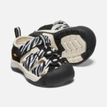 Atms Zebra Star Begeistert Kleinkinder Newport H2 – Bild 5