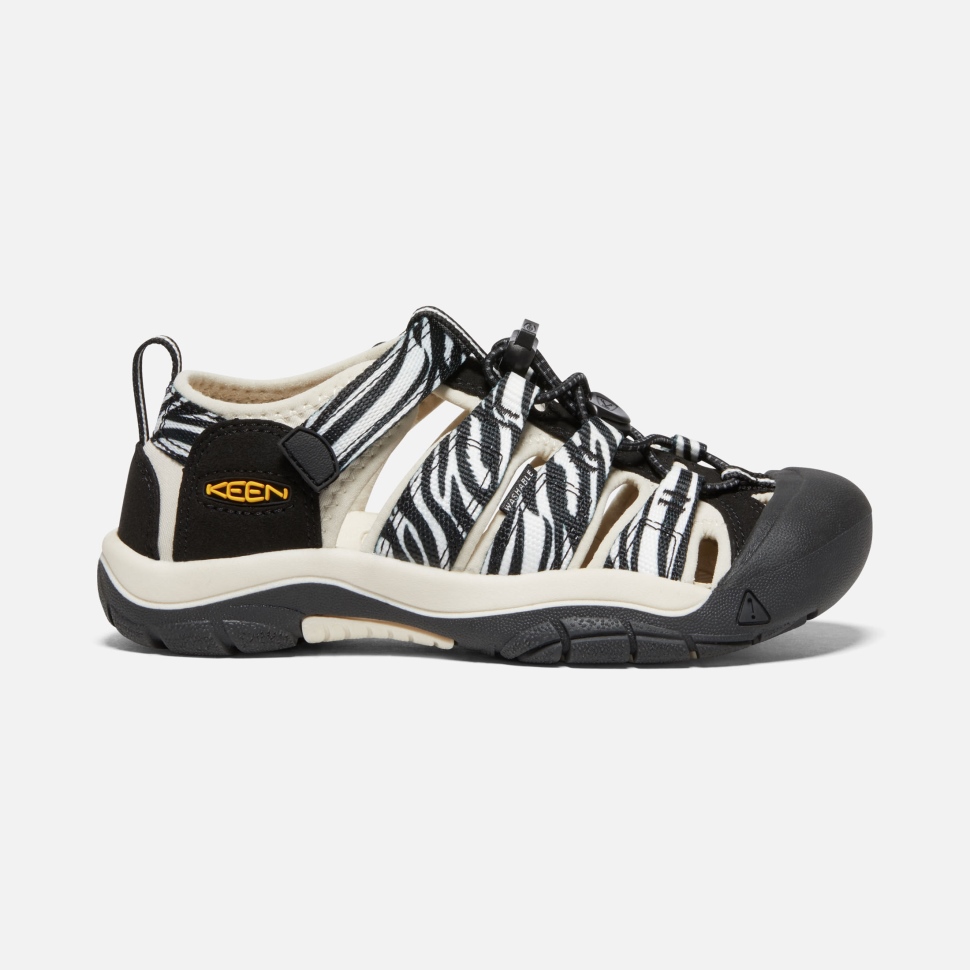 atms_zebra_star_begeistert_newport_h2_fuer_grosse_kinder.jpg Atms Zebra Star Begeistert Newport H2 Für Große Kinder – Bild 1