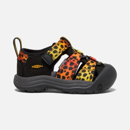 Gepard Regenbogen Scharf Kleinkinder Newport H2